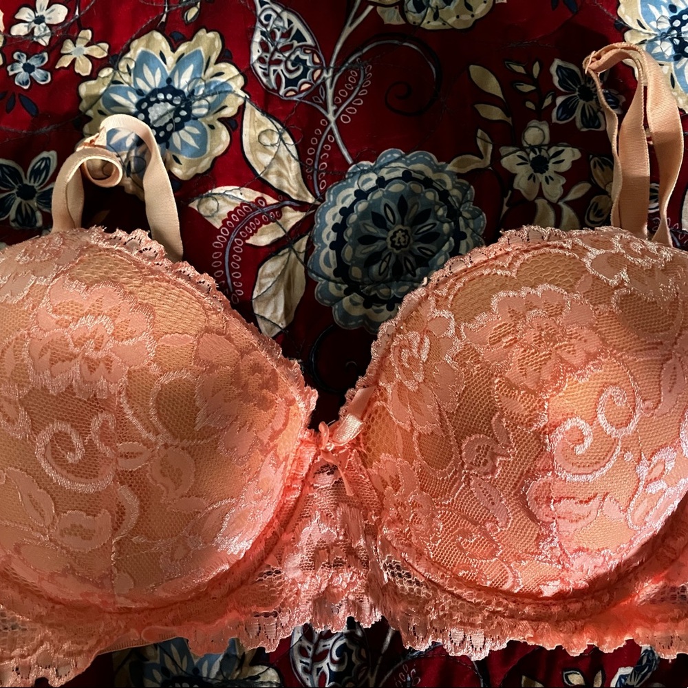 Mamia bra 40c